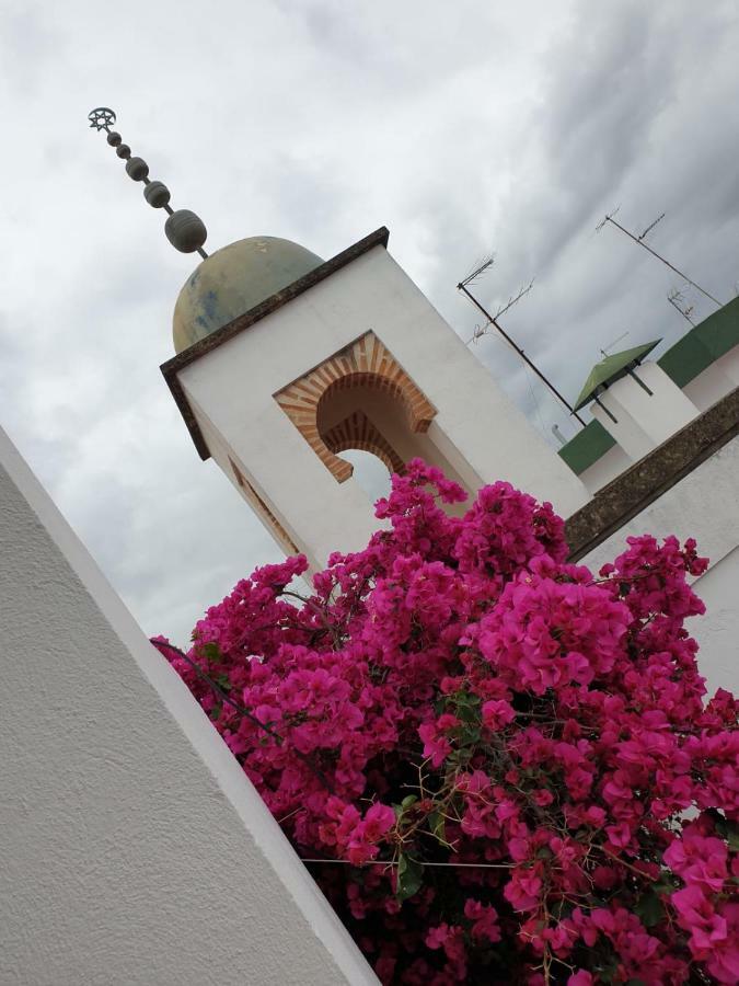 Entre 2 Mezquitas Apartamento 8 Кордова Экстерьер фото